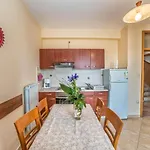 Dusan Apartament *